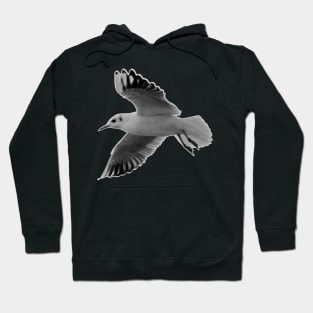 Seagull Hoodie